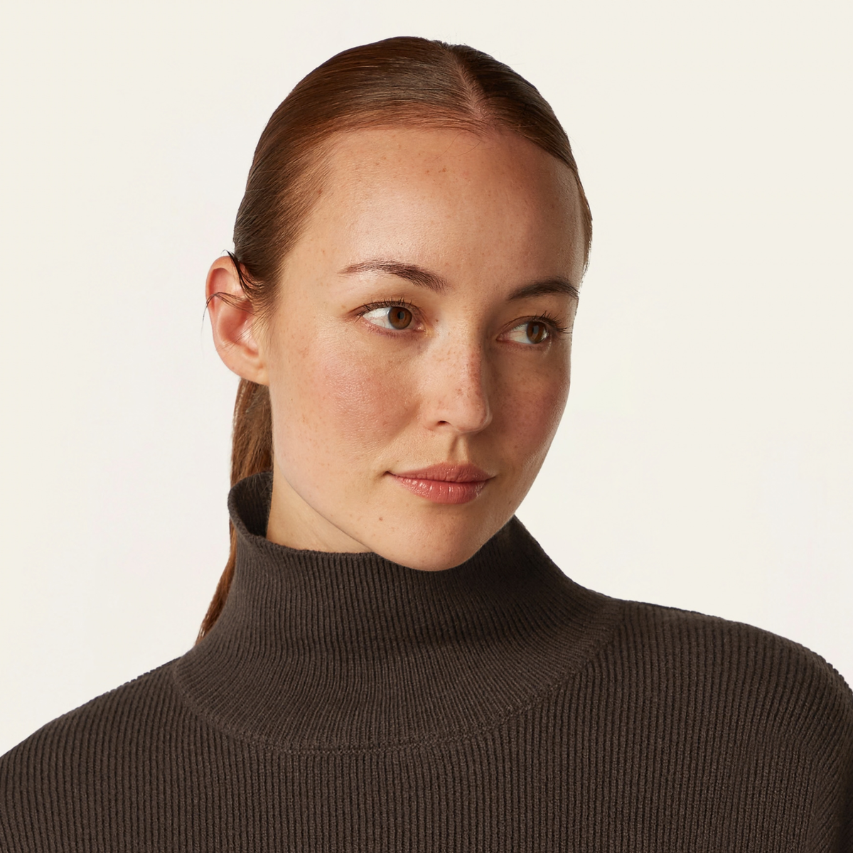 Heavy Seawool Turtleneck - Dark Brown